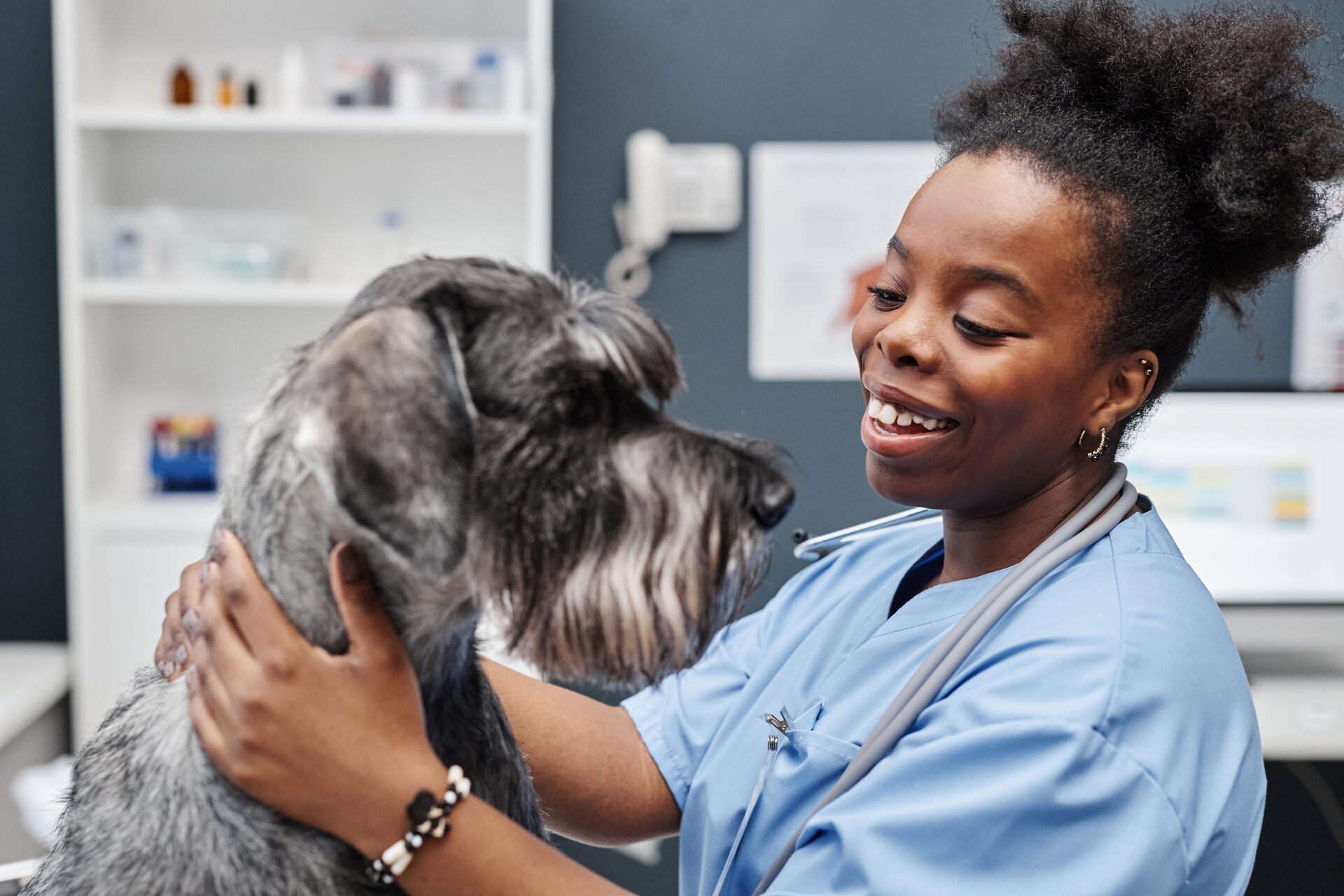 A vet testing a dog for hearing loss at a clinic