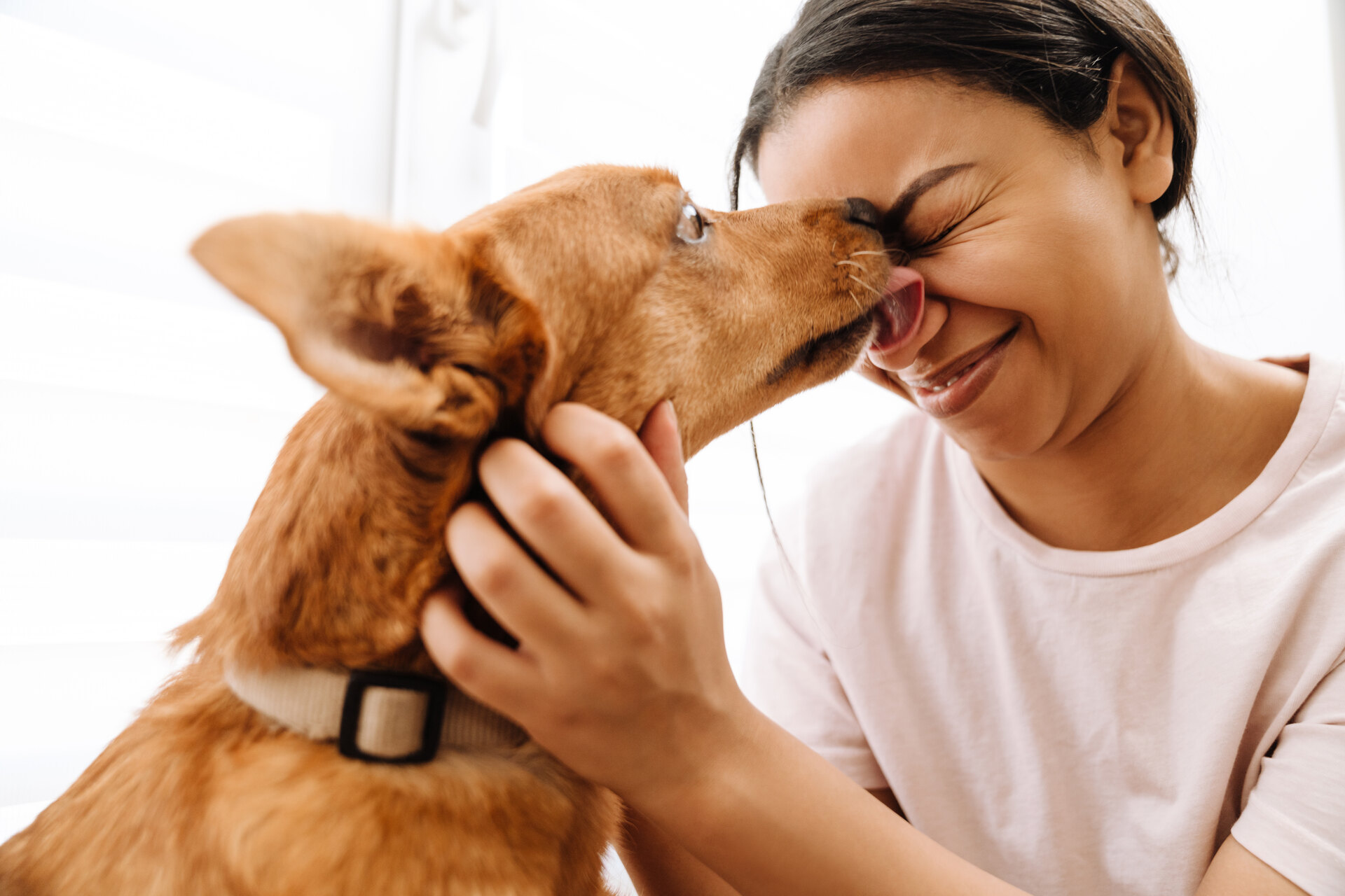 A dog licking a woman's face