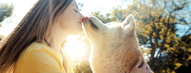 A woman kissing her dog on a sunny day