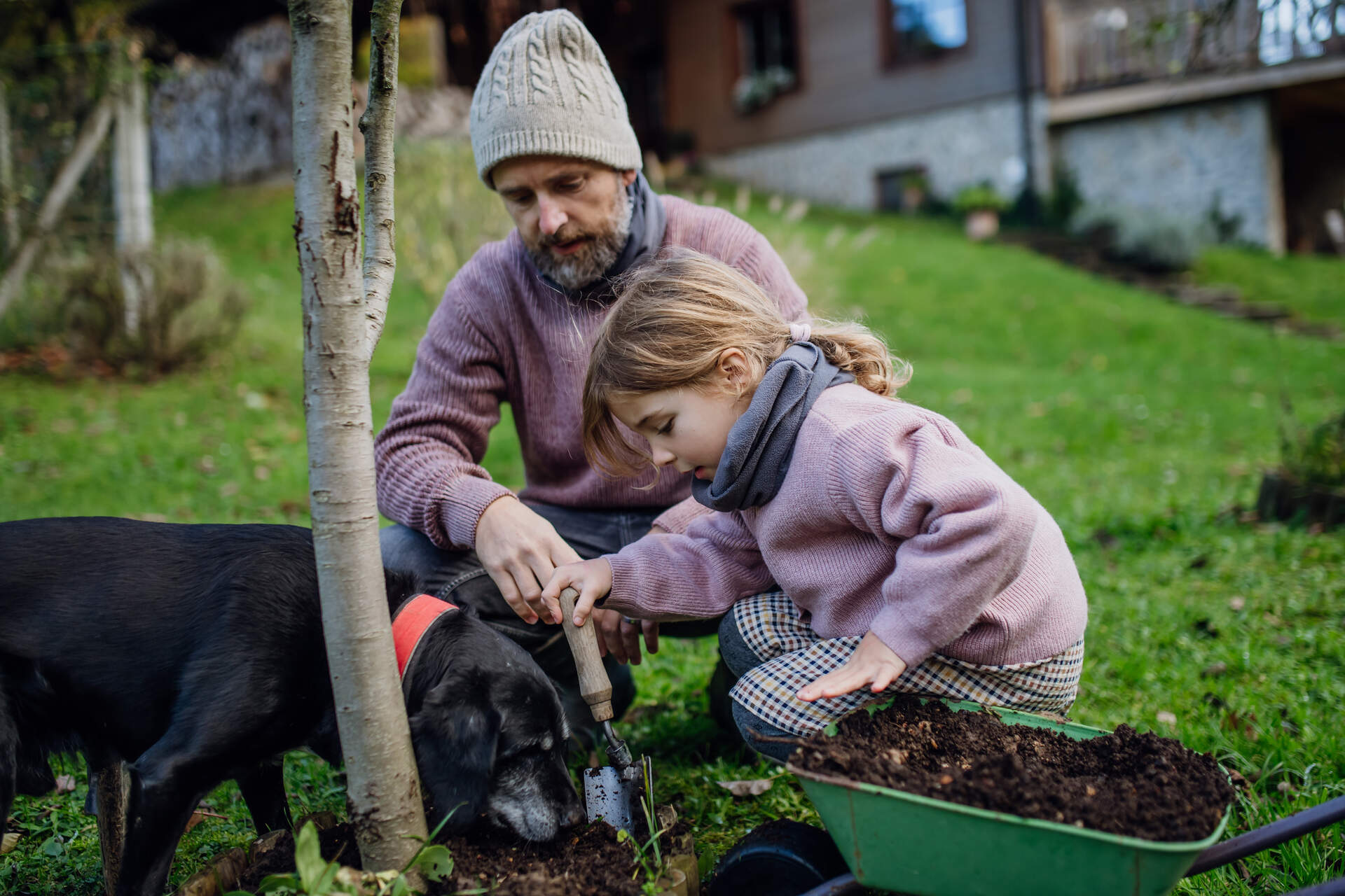 A little girl and her dad gardening with their dog