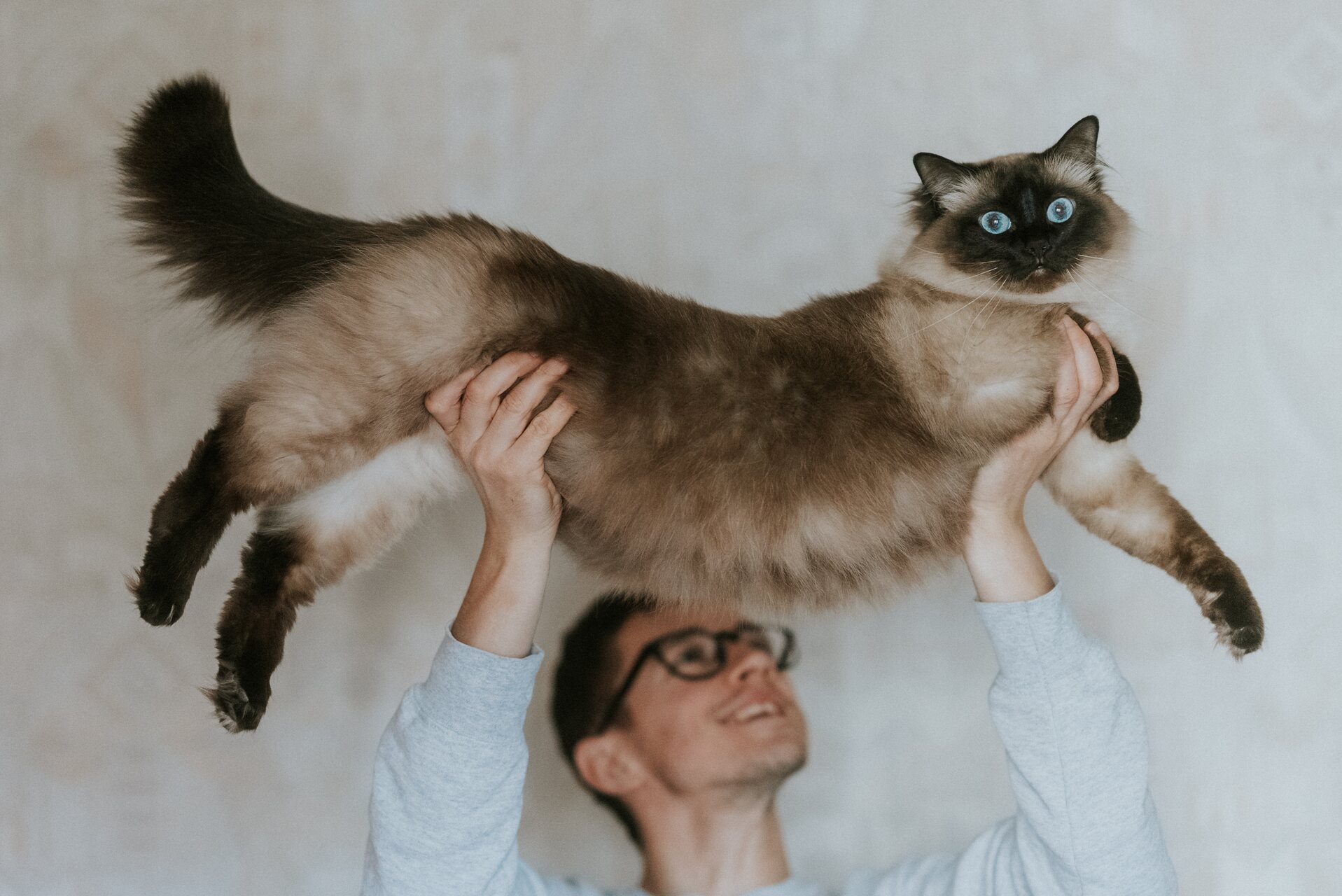 A man lifting a cat above his head