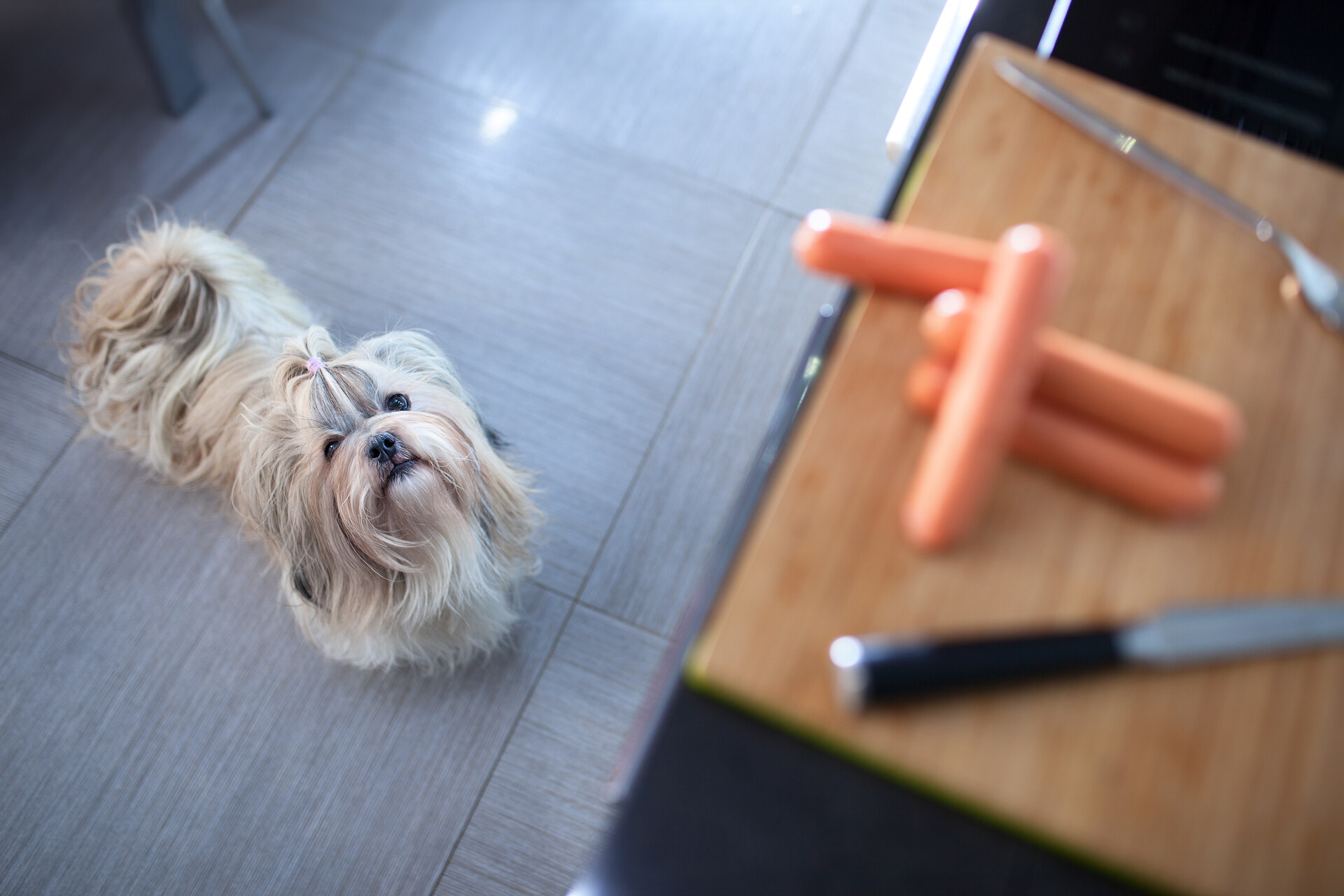 A dog looking up at sausages on a wooden cutting board