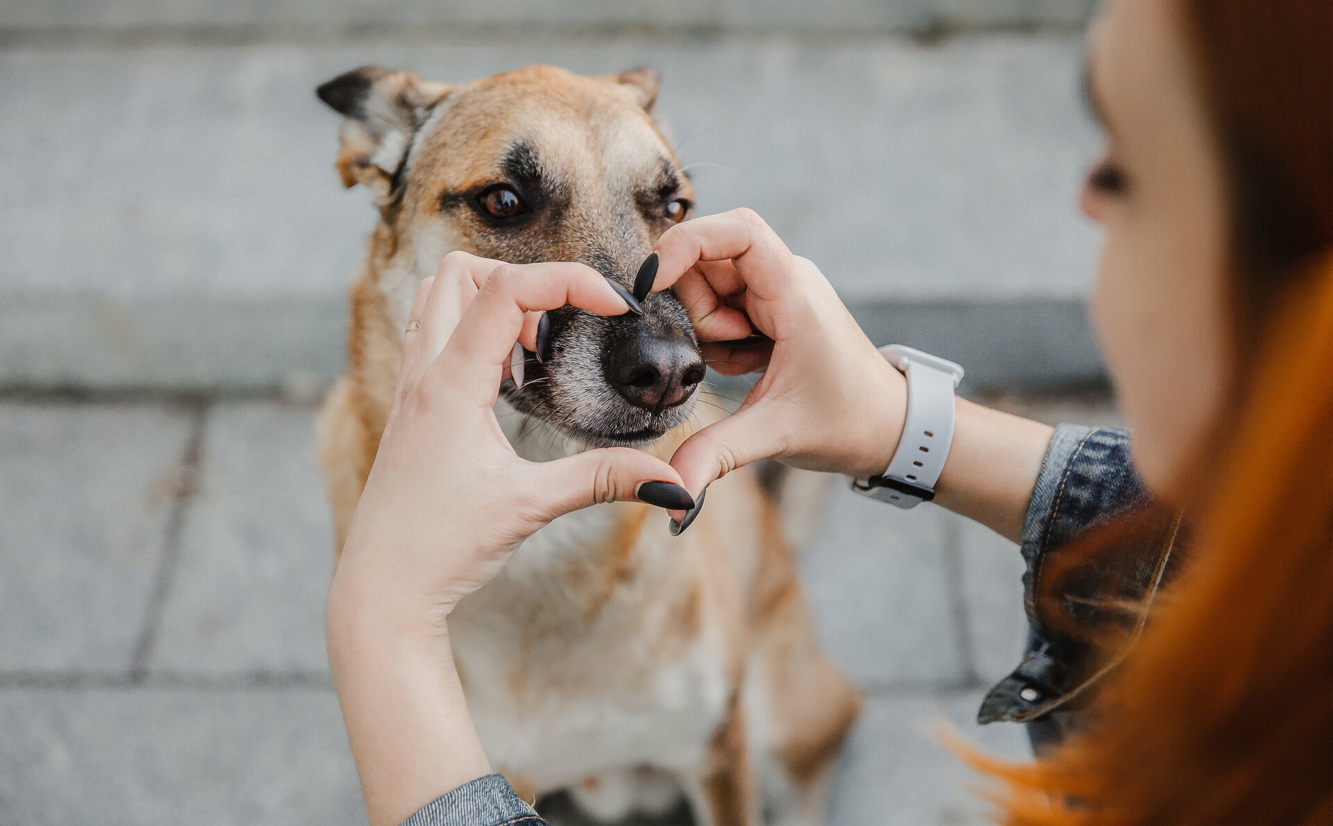 A woman forming a heart shape with her hands over a dog's nose