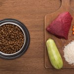 Dry pet food in a bowl next to ingredients on a wooden board