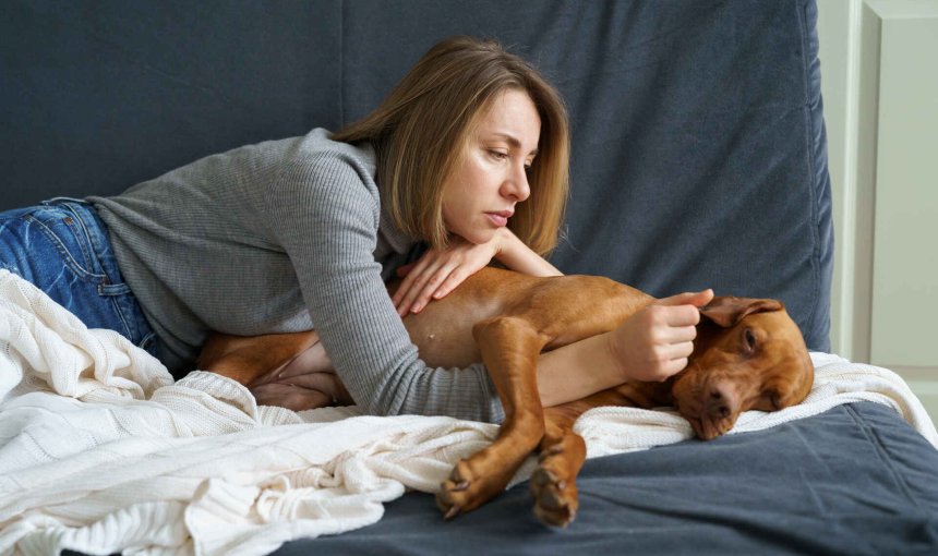 A woman comforting a sick dog lying in bed