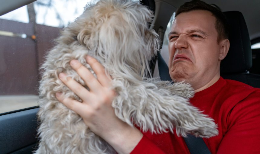 A man wondering what's causing his dog's bad breath