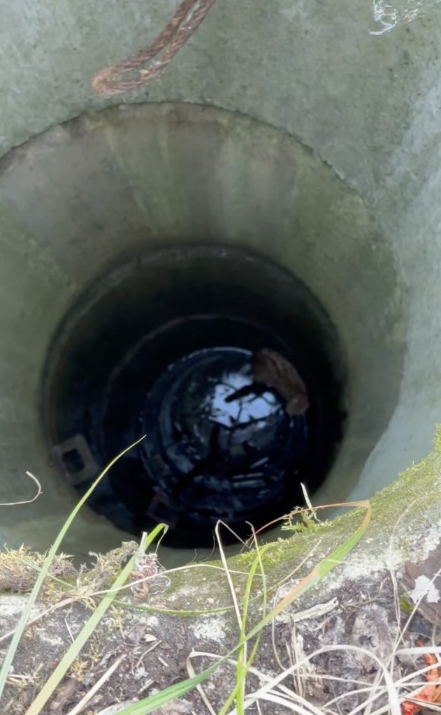 un chat dans une canalisation