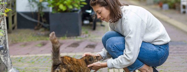 A woman caring for a stray cat