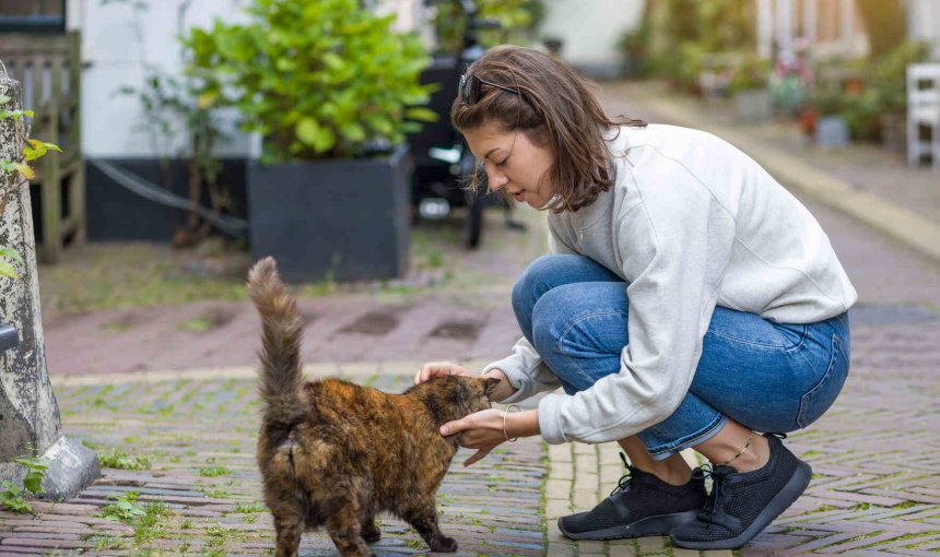 A woman caring for a stray cat