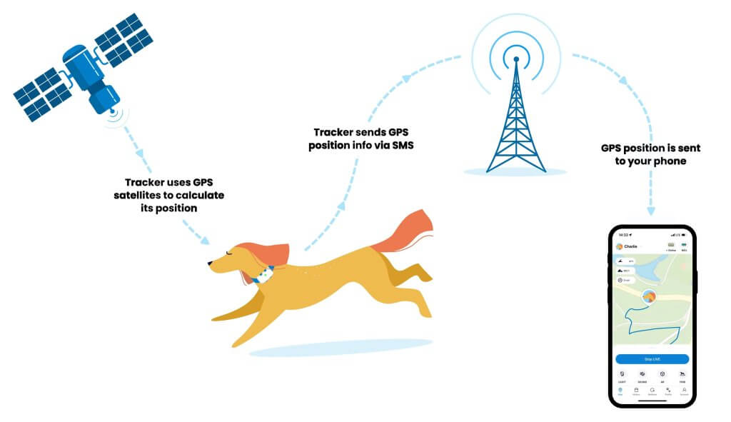 how do dog gps trackers work infographic from tractive